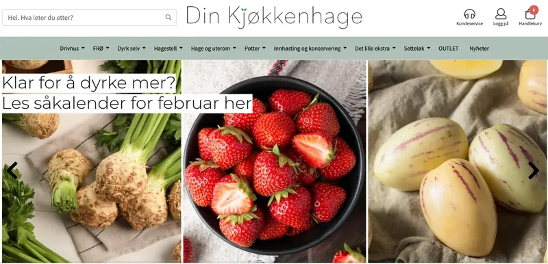 Forsiden av dinkjokkenhage.no
